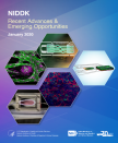 NIDDK Recent Advances & Emerging Opportunities (NIDDK)