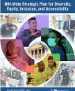 NIH-Wide Strategic Plan for Diversity, Equity, Inclusion, and Accessibility